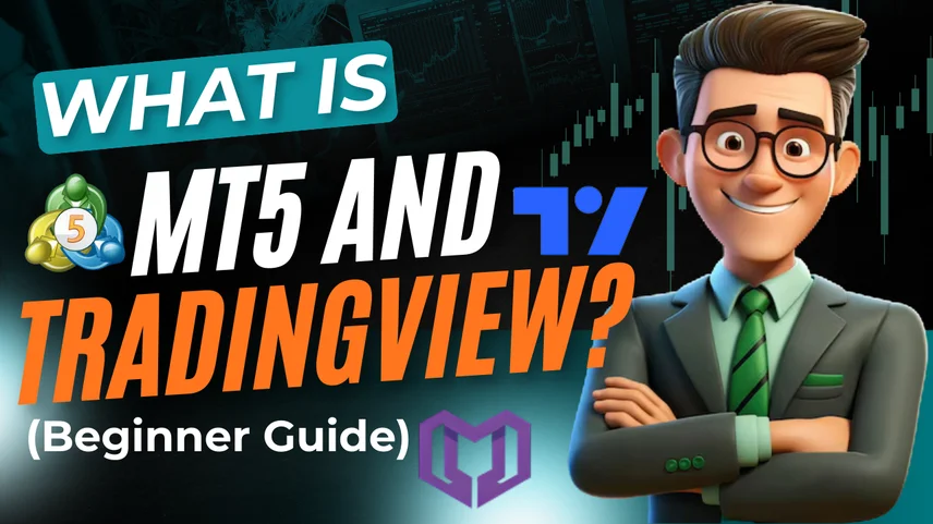 What is MT5 and TradingView? (Beginner Guide)