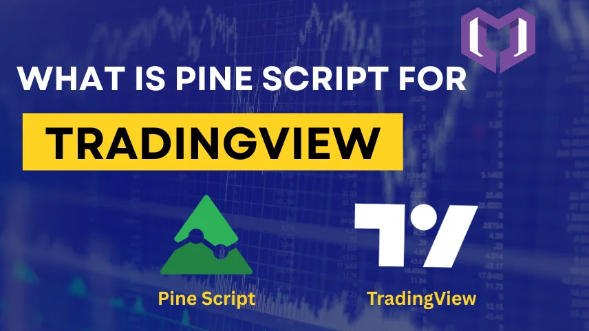 What Is Pine Script for TradingView?